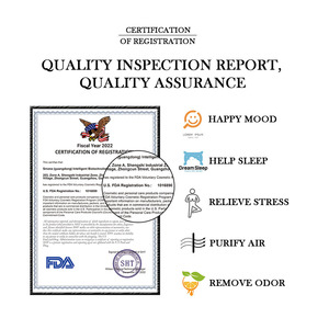 Bán Hot chăm sóc da Hữu Cơ tinh khiết tinh dầu các nhà sản xuất nhãn hiệu riêng Hương Thảo cam nghệ Trà Cây tinh dầu - Product Image 6