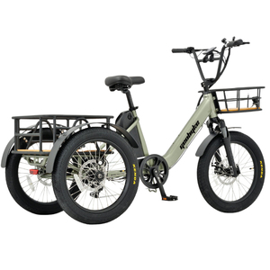 Eu गोदाम 48v 250w रियर हब मोटर 3 पहिया इलेक्ट्रिक साइकिल वयस्कों के लिए एकीकृत लिथियम बैटरी के साथ - Product Image 1
