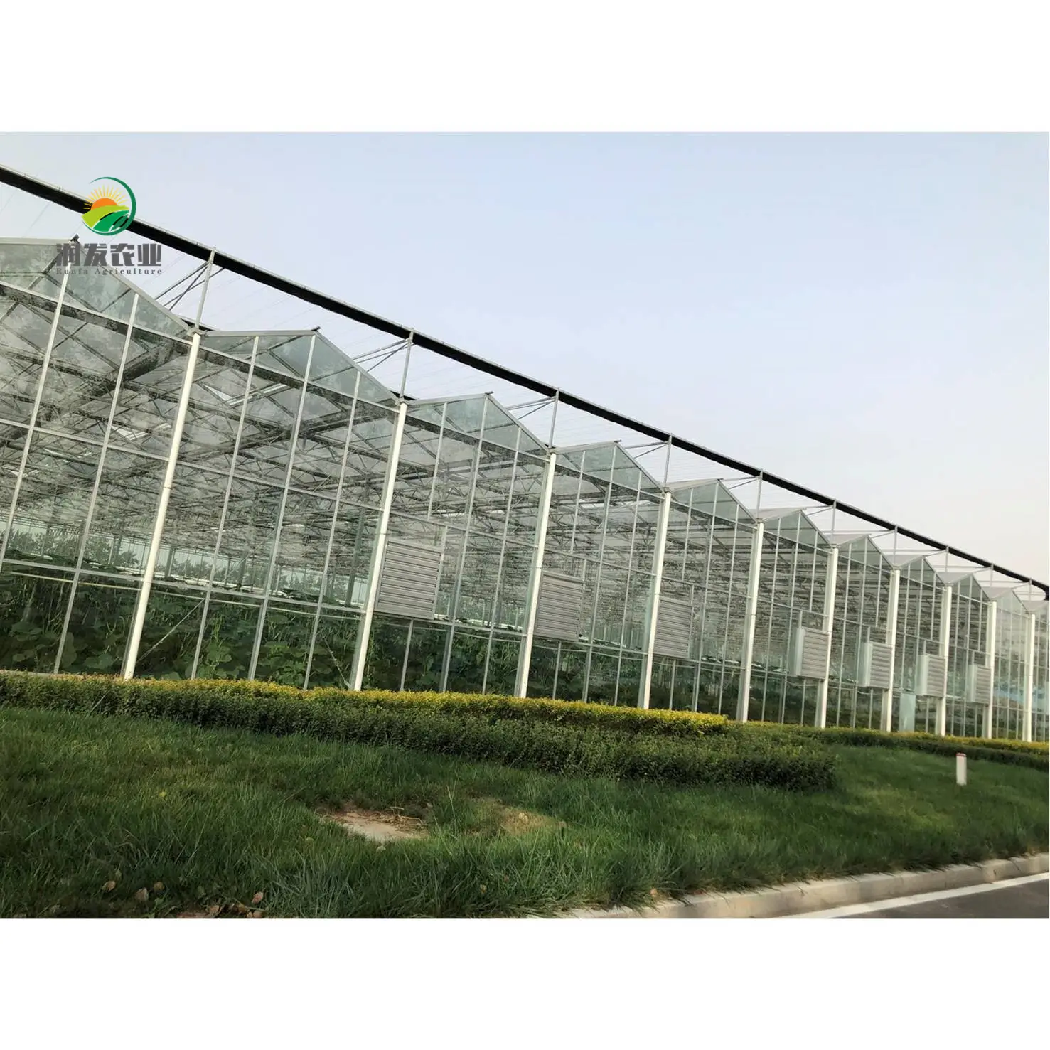 지능형 멀티 스팬 온실 수직 농업 장비 Aquaponic 성장 수경 시스템 온실