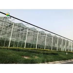 インテリジェントマルチスパン温室垂直農業機器アクアポニック成長水耕システム温室