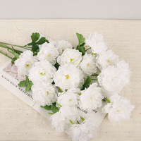 Bouquet de pivoines à 6 têtes, longues tiges, pour décoration de toile de fond de mariage, arrangement de fête, centre de table et décoration intérieure