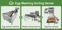Laveuse et trieuse d'œufs en acier inoxydable pour volailles, canards, poulets, machine de lavage et de tri des coquilles d'œufs