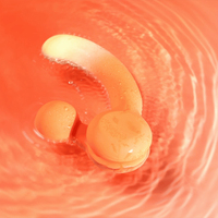 KI-gesteuerter IPX7 Wasserdichter 10-Frequenz Platin-Silikon Doppelendiger Vibrator für Klitoris- und Bruststimulation