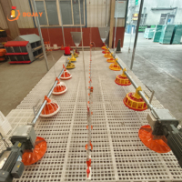 Système d'alimentation automatique pour poulets de chair, fabricant direct d'équipements d'alimentation complets pour fermes avicoles
