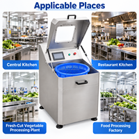 Commerciële groentespinner industriële saladecentrifuge fruit- en groente centrifuge ontwateringsmachine