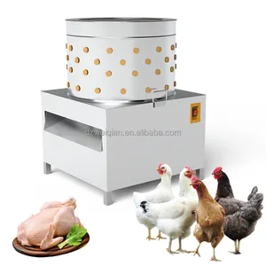 Machine à hacher les poules de bonne qualité, équipement WQ pour affûter les volaille, de très bonne qualité