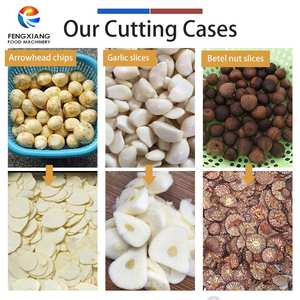 เครื่องหั่นหัวลูกศร150-250กิโลกรัม/ชั่วโมง - Product Image 5