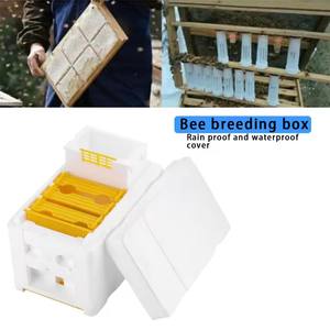 Mini boîte d'<span class=keywords><strong>accouplement</strong></span> reine élevage ruche équipement d'apiculture nouvel outil agricole avec comprend une mangeoire pour abeilles et un cadre - Product Image 6