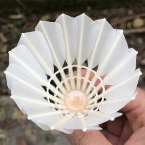 Volantes de entrenamiento de bádminton para interiores, pluma de ganso, precio barato, Exportación de Corea del Sur, buena calidad - Product Image 4