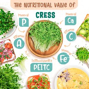 Farmhouse-Classic 200g Organic Microgreens Cress Garden Sow Kit Intérieur Maison Suspension ou Utilisation de plantes au sol - Product Image 4