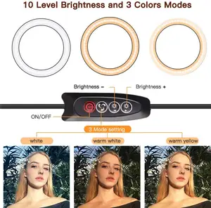 Beauty記入ランプ10インチTiktok Photographic Selfie Led Ring Light For Live Stream Makeup Youtube Video