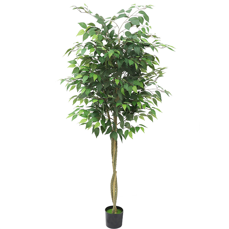 180cm vert