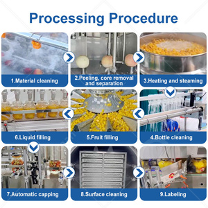 Máquina Automática para Descorazonar, Cortar y Enlatar Duraznos OCEAN China, Línea de Producción de Fruta Enlatada - Product Image 2