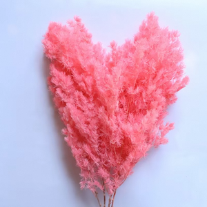 Bouquet de fleurs romantiques au toucher réel, Asparagus Myrioeladus Ming Fern préservé, éternel, DIY, Pampas, tiges en gros - Product Image 3