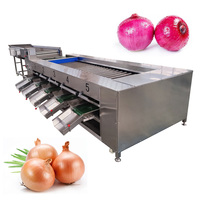 Fruit En Groente Druivenkersen Ui Aardappel Grootte Sorteermachine