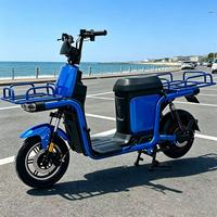 Vélo cargo électrique 800W, moteur arrière 60V, 3 vitesses, acier carbone, freins à disque avant et arrière