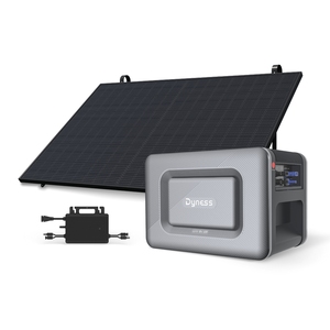 Dyness 1.6kwh balcony solar system lifepo4 battery 800w/1000w balcony power plant storage with PV hub Microinverter