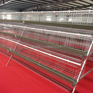 Nuova condizione BT marca 3-strati in acciaio zincato a strato di pollame gabbia controllo accurato della temperatura per pollo allevamento batteria - Product Image 2