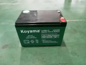 Onderhoud Gratis Batterij 12 Volt Deep Cycle Gel Batterij 6-dzm-12 12 V 12ah Fiets Batterijen