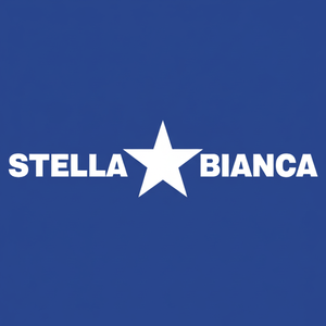 Stella bianca HSS rotativo Cutter Art. 25 Fig.47 laminatoio fine/faccia conica per la lavorazione e la fresatura dell'acciaio inossidabile - Product Image 1