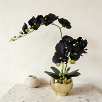 Bunga Anggrek Moth Buatan Berkualitas Tinggi dengan Pot Emas, Sentuhan Asli, Anggrek Phalaenopsis Hitam Palsu untuk Dekorasi Meja Rumah