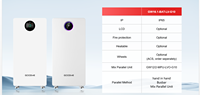 Batterie de stockage solaire à basse tension GoodWe GW16.1-BAT-LV-G10 16,1 kWh 51,2 V 314 Ah LiFePO4, montage mural ou au sol, IP65