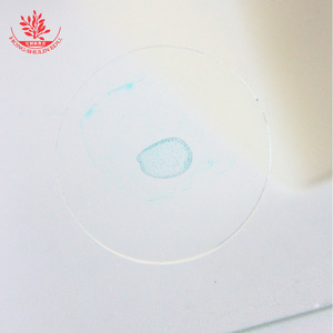 Preparaciones botánicas en diapositiva para observar los fascículos vasculares de tallos de monocotiles y tallos de maíz (familia de las gramíneas). - Product Image 1