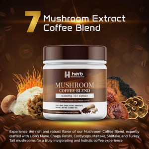 Poudre de café aux champignons OEM/ODM – Complément personnalisé de champignons Reishi, Shiitake et Morille – Extrait de champignons en poudre pour café - Product Image 2
