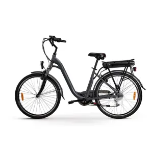 Avrupa'da sıcak satış, Lvneng elektrikli şehir bisikleti LN26C06 arka raf pil ile 36V10AH