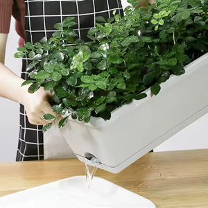 <span class=keywords><strong>Vaso</strong></span> <span class=keywords><strong>in</strong></span> Plastica Autoirrigante Ecologico Grande <span class=keywords><strong>per</strong></span> Interni/Esterni <span class=keywords><strong>per</strong></span> Coltivazione di Verdure e Uso <span class=keywords><strong>in</strong></span> Giardino - Product Image 4