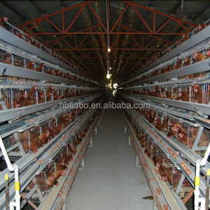 4-Door 4-Tier döşeme kafes 128 tavuk için yeni A/H tipi paslanmaz çelik hayvan kafesleri quadiscounted için indirimli çiftlik hayvan kafesleri - Product Image 3