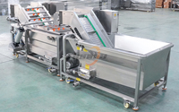 Groentewasmachine voor 800-1500 kg/uur, geschikt voor knoflook, citroen, chili, aardappel, fruit en groenten na de oogst.