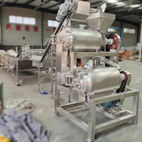 Commerciële Kleinschalige Groentepulper Extractor Machine Oranje Fruit Tomaat Pulping Verwerkingsproductielijn