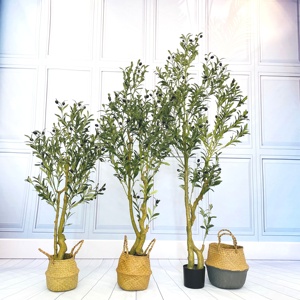 Vente en gros de fausses olives artificielles en plastique <span class=keywords><strong>pour</strong></span> décoration intérieure au toucher naturel 150cm 5ft Plante d'olive artificielle avec <span class=keywords><strong>pot</strong></span> - Product Image 3