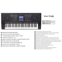 Aiersi 61 Keys Dual Keyboard Electric Organ Piano Foldable Plastic Digital Style for Family Entertainment