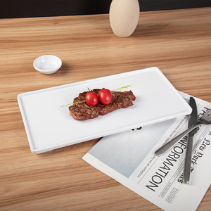 Yüksek kaliteli dikdörtgen melamin hizmet biftek tabağı japon sofra suşi beyaz melamin tabak kırılmaz yemek tabağı - Product Image 1