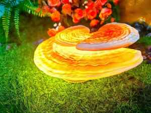 ไฟตกแต่งวันหยุด LED สำหรับคริสต์มาสและวันปีใหม่ มาตรฐาน IP65 ปรับแต่งสีได้ เหมาะสำหรับสวนในบ้านและสวนสาธารณะ - Product Image 1