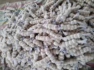 Tüm satış beyaz sarımsak/sarımsak/hint sarımsak 2025 - Product Image 4