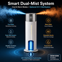 Humidificateur d'air intelligent personnalisé 10L grande capacité à ultrasons pour hôtel et maison, contrôle WIFI Tuya, brume froide et chaude, avec humidistat