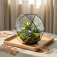 Vas Tanaman Sukulen Mini Terarium Kaca Geometris Wadah Lanskap Mikro Grosir Pesanan Campuran Dekorasi Meja Rumah