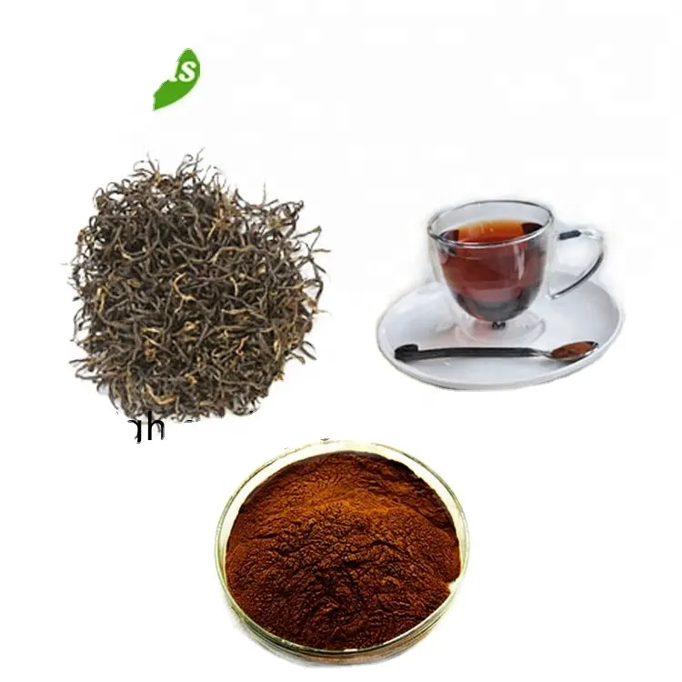 Polvo de extracto de té negro instantáneo secado por pulverización orgánico