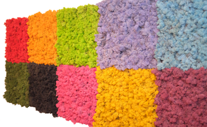 Rêu Khô Tất Cả Các Màu Với Giá Rẻ Ổn Định Địa Y - Product Image 6