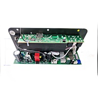 Carte amplificateur numérique D20 de marque originale, 10 pouces, 12V/24V/220V, carte mère de haut-parleur de voiture avec basses et réverbération, 100% neuve