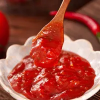 Yeni iyi tat taze domates sosu baharatlı lezzet domates püresi 238g