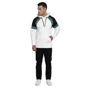 Unisex Cotton Custom Men <b>Hoodies</b> Street Wears Custom Logo Oversized Pullover Thermal Blank <b>Plain</b> <b>Hoodies</b> for Winter Digital - Product Image 1