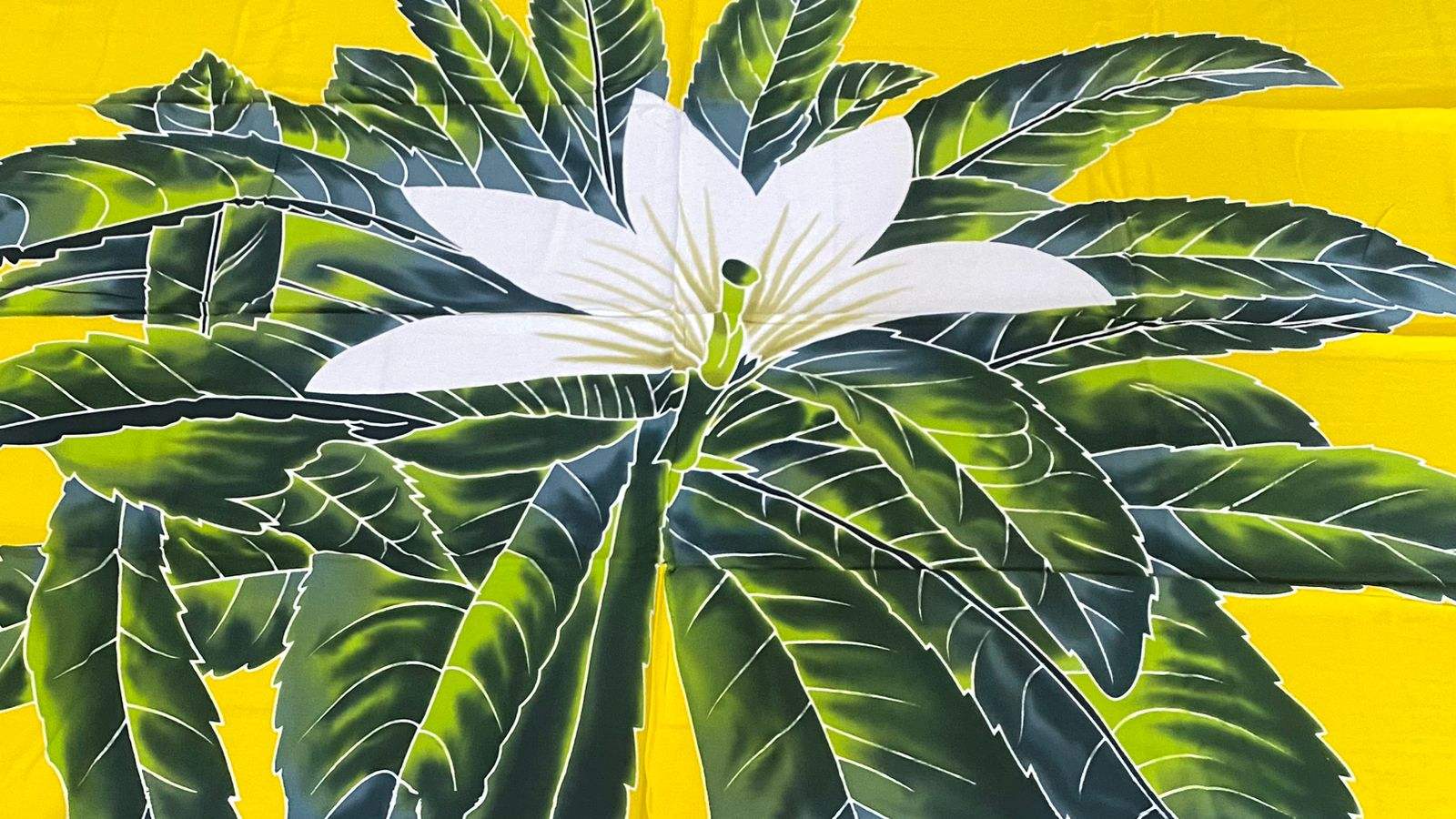 สีเหลือง