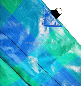 Bâche légère argentée verte de HDPE de feuille en plastique du textile tissé 160g de bâches de PE poly avec toutes les caractéristiques