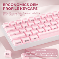 XVX Keycaps Jelly Side-Printed Pink OEM Profile Gaming 113-Key PBT Mechanical Custom English Japanese Korean Mechanical Keyboard