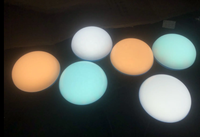 Ampoule LED pour volailles, rouge et blanc commutable, sans scintillement, 9W-15W, avec couvercle laiteux