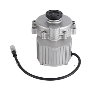 Adult <b>Electric</b> Rickshaw Conversion <b>Kits</b> with 250W Brushless DC Motor Waterproof Spare Parts <b>Electric</b> Bicycle - Product Image 2